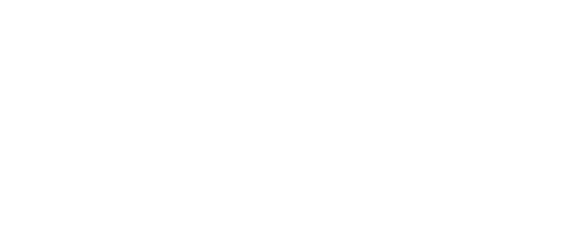 Fast CN IOS专业版